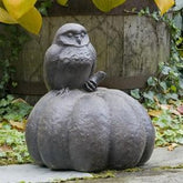 Photo of Campania Owl on Pumpkin - Exclusively Campania